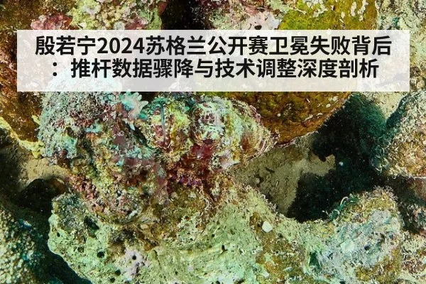 殷若宁2024苏格兰公开赛卫冕失败背后：推杆数据骤降与技术调整深度剖析